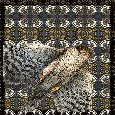 Pillow Cover-Lady Hawk