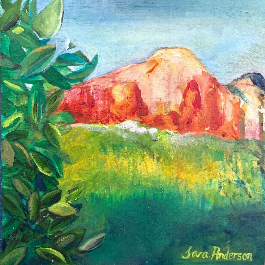 “Arizona 5”